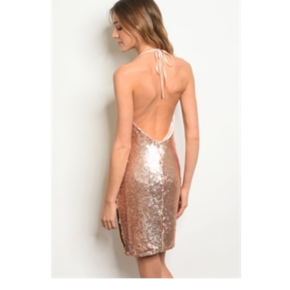 Rose Gold Dress - Picture 6 of 8